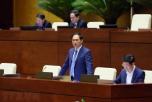 外交部部长裴青山回答询问。