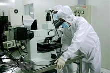 越南努力吸引国际科学人才。