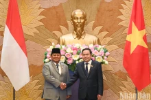 越南国会主席陈青敏会见印尼总统普拉博沃。