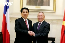 越南国家主席梁强与智利参议院议长。