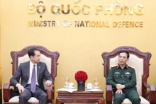 越南国防部长潘文江大将会见中国新任驻越南大使何炜。