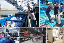 越南政府总理签发关于促进2025年经济增长的通知。