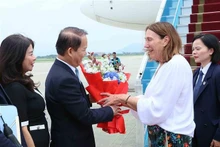 越南国会法律委员会主任黄青松到内排机场迎接澳大利亚联邦议会参议长莱恩斯。