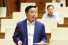 越南政府副总理陈红河。