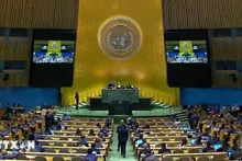 联合国大会投票会议场景。（图片来源：越通社）