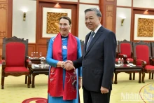 越共中央总书记、国家主席苏林会见澳大利亚联邦议会参议长苏·莱恩斯。