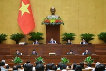 计划投资部部长、财政部长、公安部部长、政府监察总署总监察长等就有关问题解答质询。