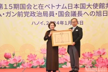 日本驻越南大使山田泷雄向原越南国会主席阮氏金银授予一等旭日大绶章。