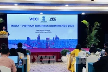 越南与印度企业会议全景。