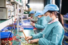 2023年新注册成立企业近16万家。
