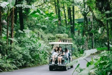 附图：河内市郊区旅游度假村。