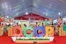 九龙江三角洲地区的OCOP产品。