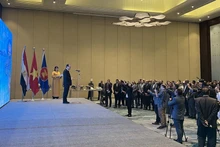 越南驻埃及大使阮辉勇在国庆招待会上致辞。