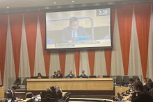 越南常驻联合国代表团团长邓黄江大使出席并发表讲话。