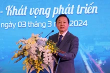 越南政府副总理陈红河出席会议并发表讲话。