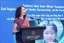 联合国常驻越南协调员宝琳·塔梅西斯女士。