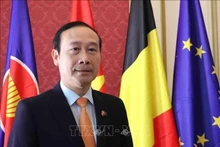 越南驻比利时王国大使、越南驻欧盟代表团团长阮文草。（图片来源：越通社）