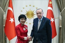 越南驻土耳其新任大使邓氏秋河和土耳其总统雷杰普·塔伊普·埃尔多安。（图片来源：越通社）