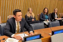 越南常驻联合国代表团团长邓黄江大使在会上发表讲话。（图片来源：越通社）
