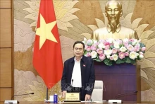 国会主席陈青敏在会议上发言。图片来源：越通社