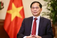 越南政府副总理兼外交部部长裴青山接受媒体记者的采访。（图片来源：越南外交部）