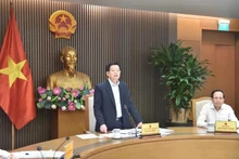 越南政府副总理梅文正发表讲话。（图片来源：政府门户网）