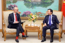 越南政府副总理陈红河会见加拿大驻越南大使肖恩·佩里·施泰尔。（图片来源：越通社）