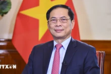 越南外交部长裴青山。（图片来源：越通社）