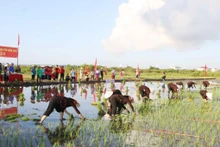 广安县的下田节被列为国家级非物质文化遗产。