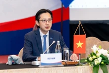 越南外交部副部长杜雄越。