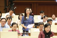 国会代表向越南通讯传媒部部长阮孟雄提出了一系列与数字基础设施管理和发展相关的问题。