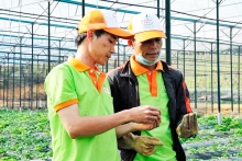 发展可持续的绿色农业正在成为许多初创企业的选择。（图片来源：北山）