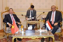 越南国会副主席阮德海和埃及众议院第一副议长艾哈迈德·萨阿德·埃尔丁·穆罕默德·阿卜杜勒·雷希姆。（图片来源：越通社）