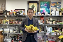 越南驻日本贸易参赞谢德明介绍越南新鲜龙眼。（图片来源：越通社）