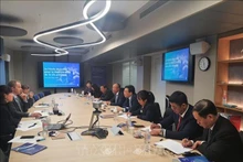越共中央检查委员会副主任严富强 与法国公共生活透明度高级管理局（HTVP）举行座谈。（图片来源：越通社）