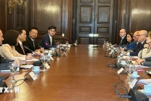 越南与阿根廷外交部第九次政治磋商。（图片来源：越通社）
