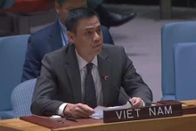 越南驻联合国代表团团长邓黄江大使。（图片来源：越通社）