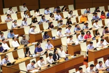 越南第十五届国会第七次会议代表。（图片来源：越通社）