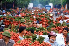 附图。