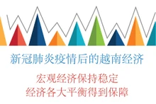 新冠肺炎疫情后的越南经济【图表新闻】