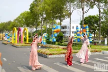 粉红莲花之乡的500米花街迎客来【组图】