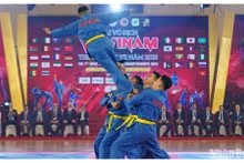 2023年第七届世界越武道锦标赛开幕式。