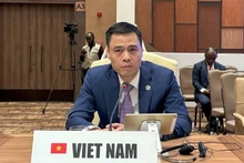 越南驻联合国代表团团长邓黄江大使。（图片来源：越通社）