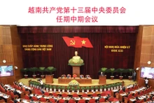 越南共产党第十三届中央委员会任期中期会议【图表新闻】