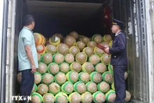 友谊口岸海关干部对出口产品进行检查。（图片来源：越通社）
