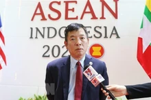东盟高官会越南代表团代团长武胡大使。
