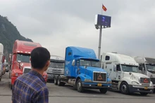 附图。（图片来源：越通社）