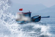 越南海岸地区的潜在价值【组图】