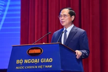 越共中央委员、外交部长裴青山在会议上发言。（图片来源：VGP）