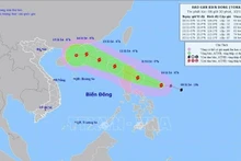 第8号台风的路径。
